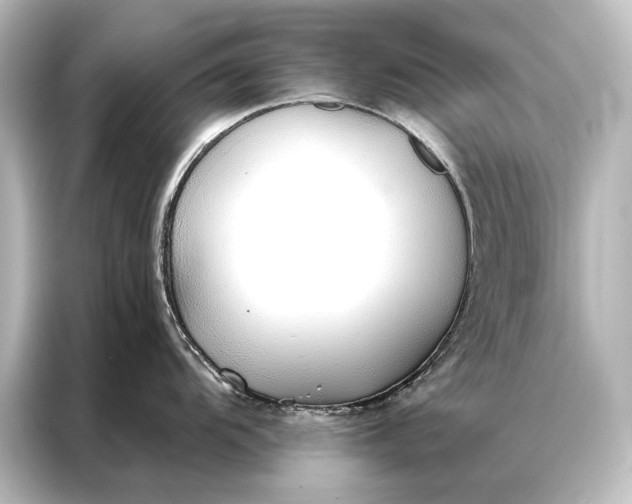 X0000087041104200705021131