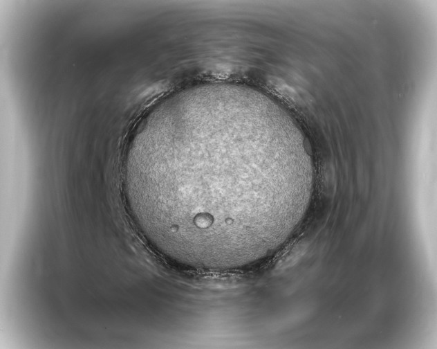 X0000087041105200705021131