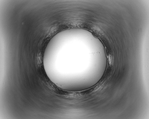 X0000087041107200705021131
