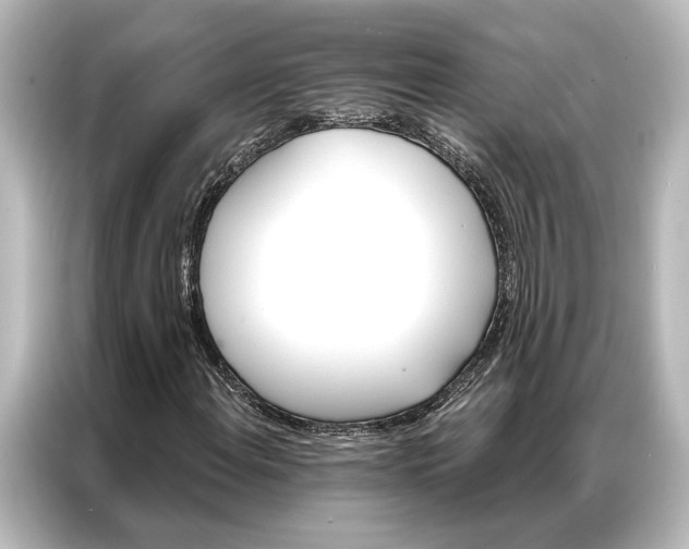 X0000087041108200705021131