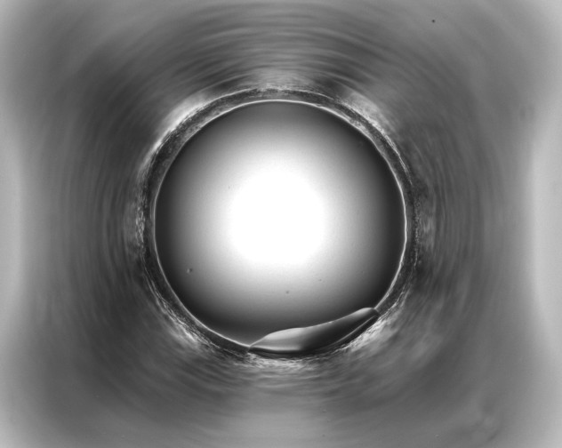 X0000087041115200705021131