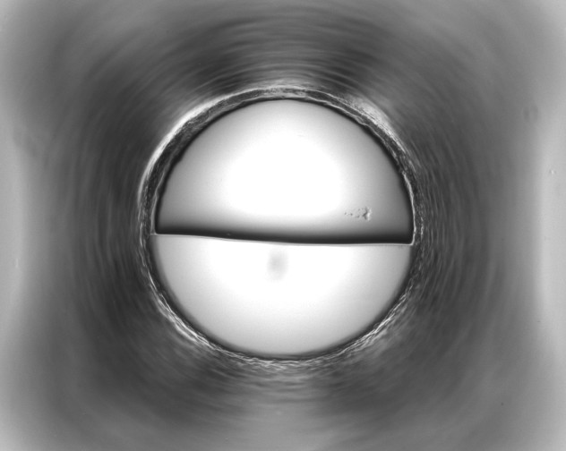X0000087041116200705021131