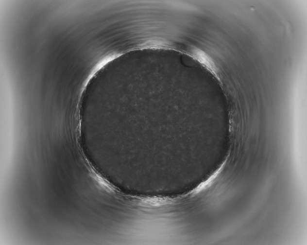 X0000087041117200705021131