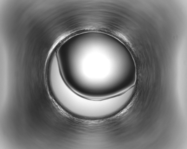 X0000087041122200705021131
