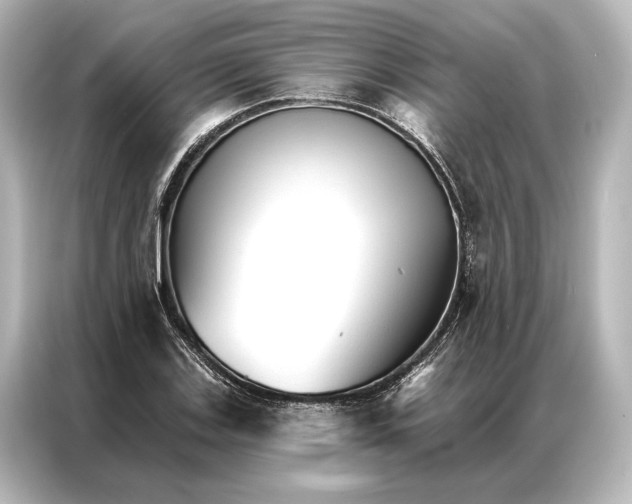 X0000087041123200705021131