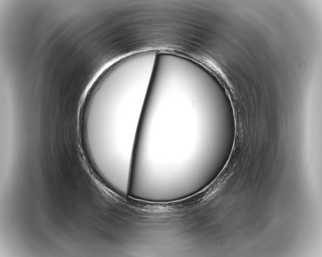 X0000087041124200705021131