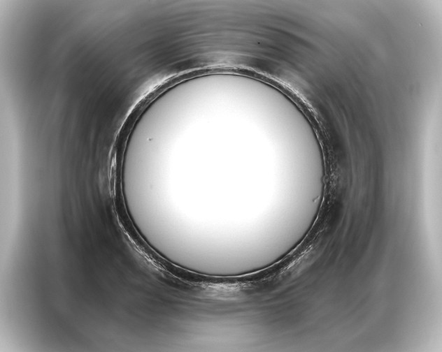 X0000087041126200705021131