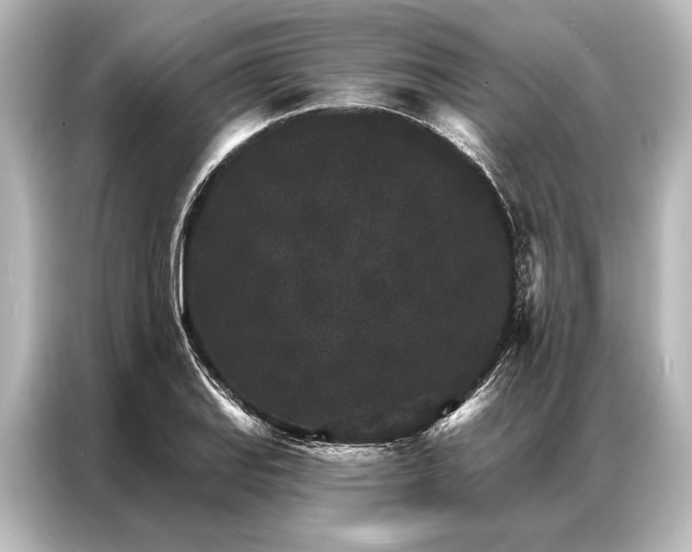 X0000087041127200705021131
