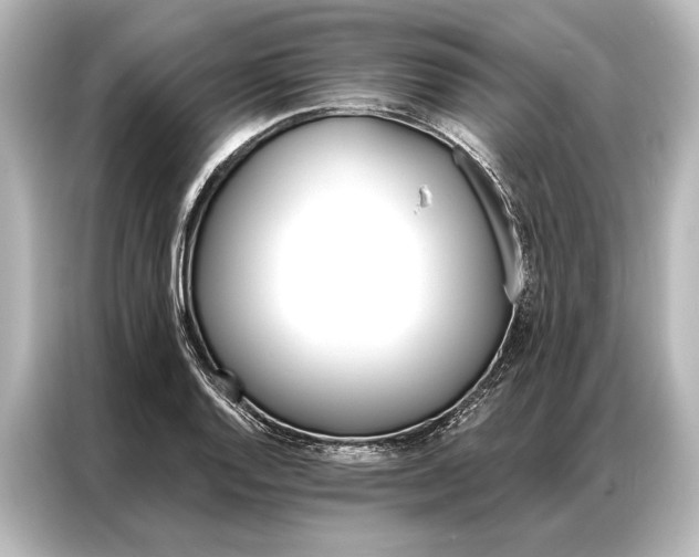 X0000087041128200705021131
