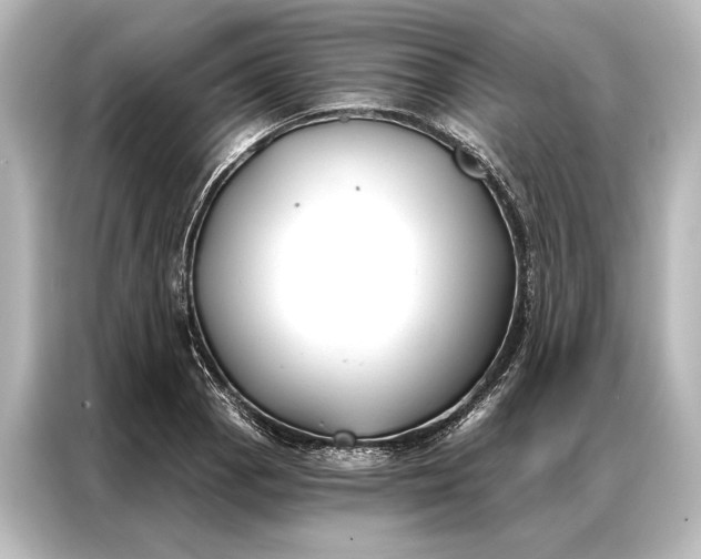 X0000087041129200705021131