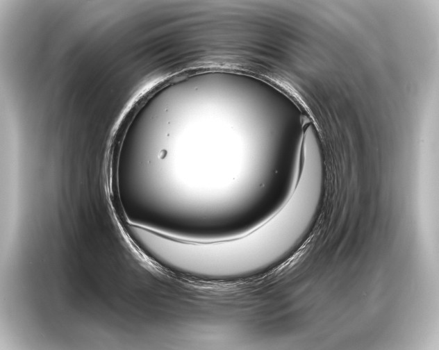 X0000087041131200705021131