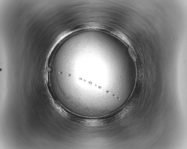 X0000087041132200705021131