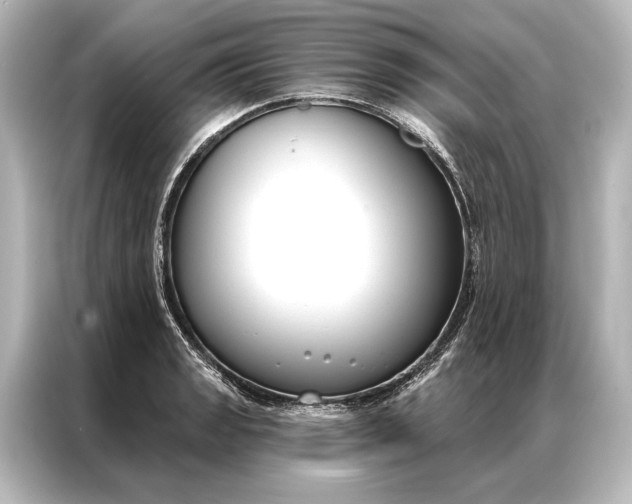 X0000087041133200705021131