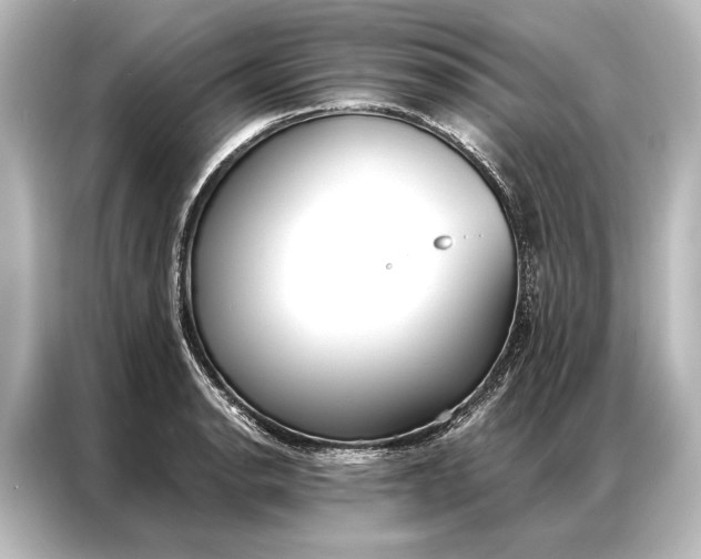 X0000087041134200705021131