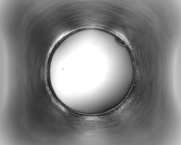 X0000087041136200705021131