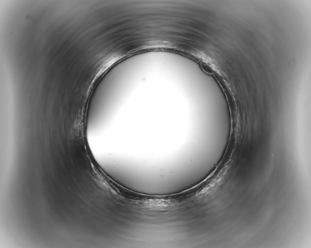 X0000087041137200705021131