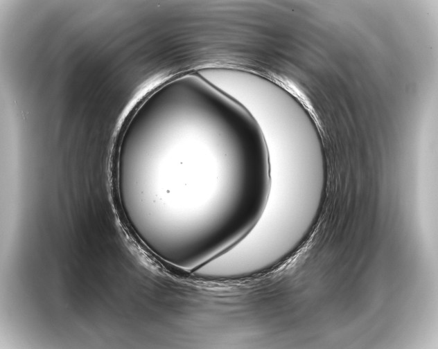 X0000087041138200705021131