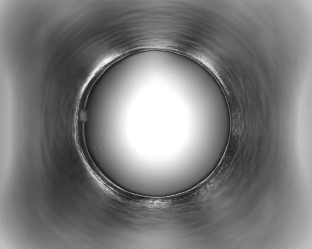 X0000087041139200705021131