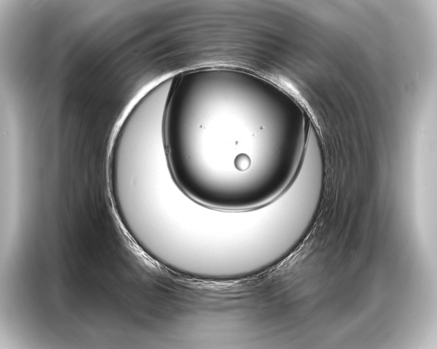 X0000087041140200705021131