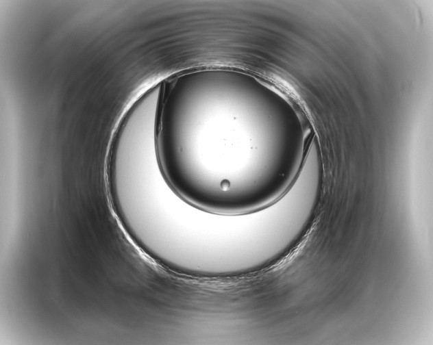 X0000087041141200705021131