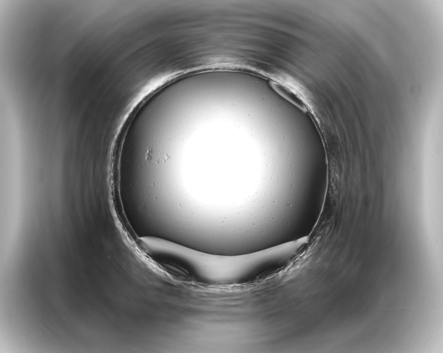 X0000087041142200705021131