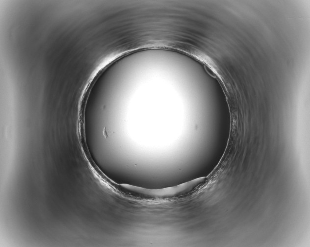 X0000087041143200705021131