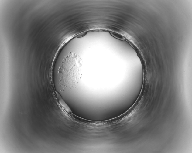 X0000087041145200705021131
