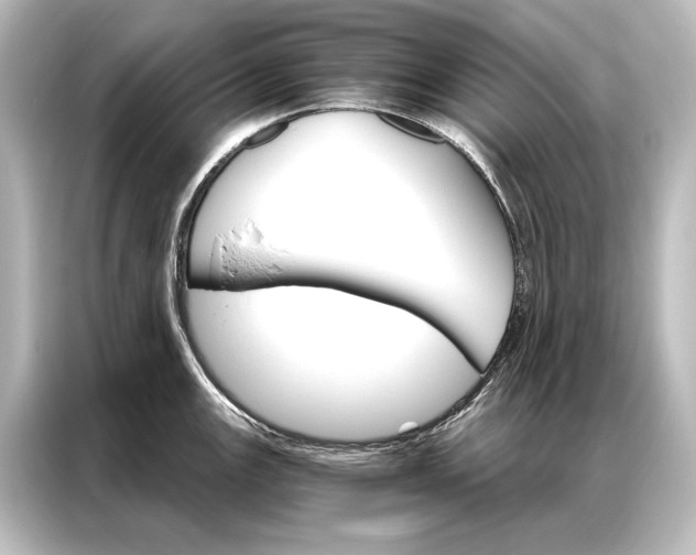 X0000087041147200705021131