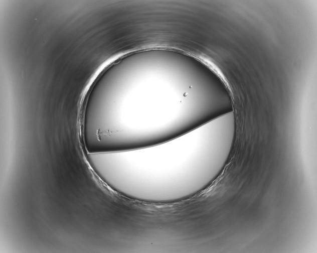 X0000087041148200705021131