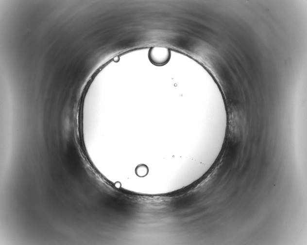 X0000087041150200705021131