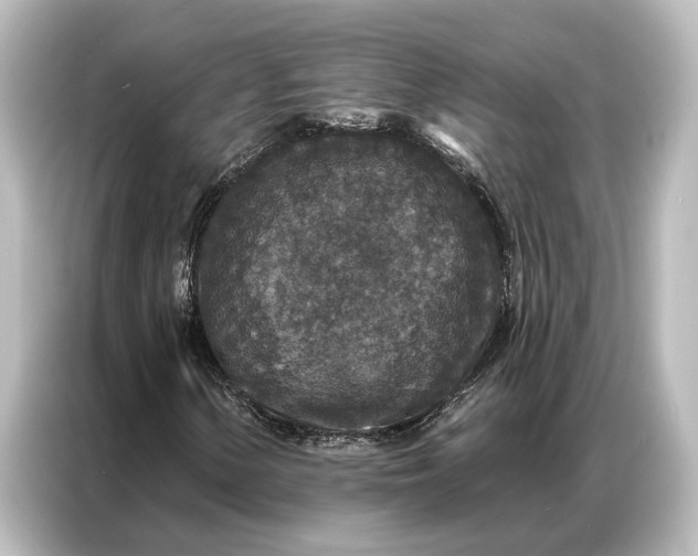 X0000087041154200705021131