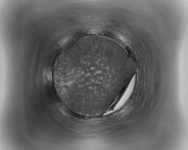 X0000087041155200705021131