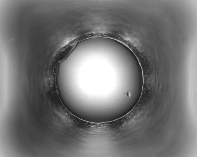 X0000087041159200705021131