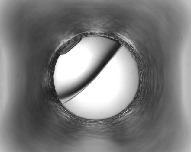 X0000087041160200705021131