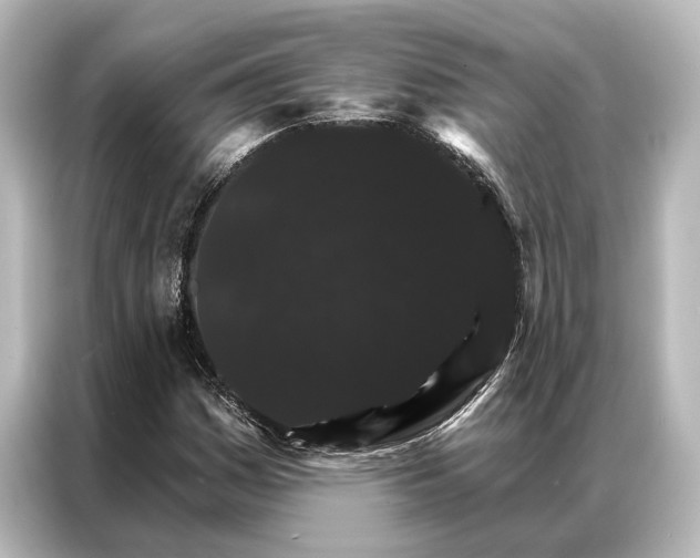X0000087041161200705021131