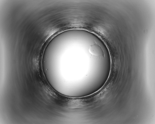 X0000087041162200705021131