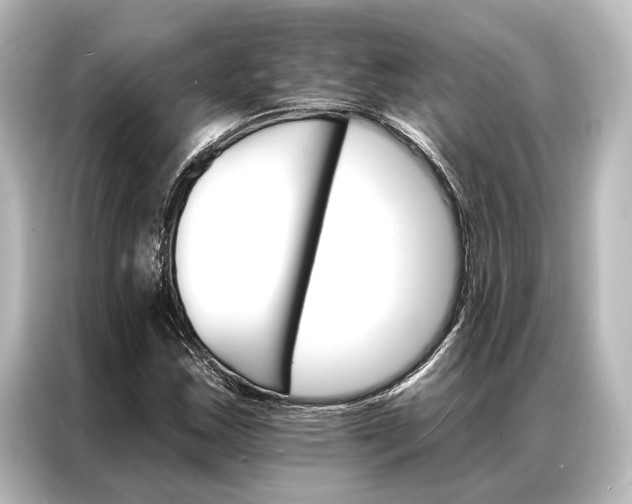 X0000087041163200705021131