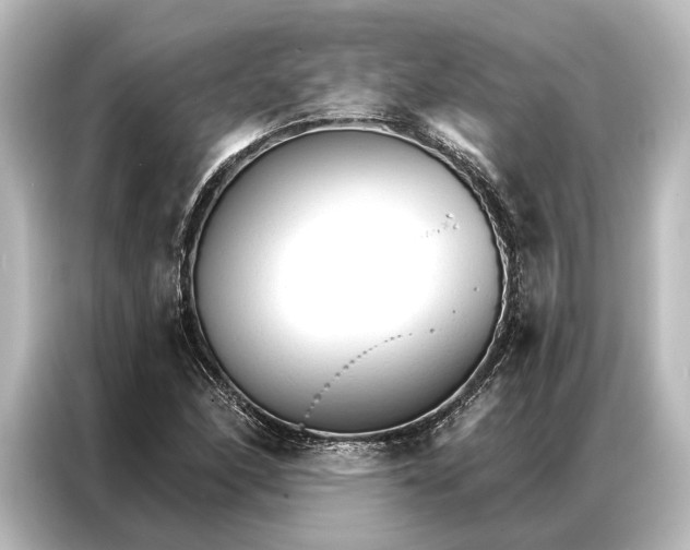 X0000087041166200705021131