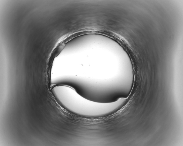 X0000087041168200705021131