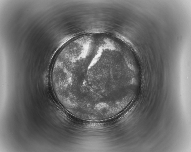 X0000087041170200705021131