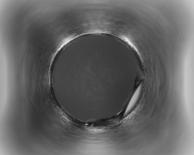 X0000087041173200705021131