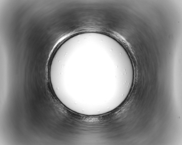 X0000087041174200705021131
