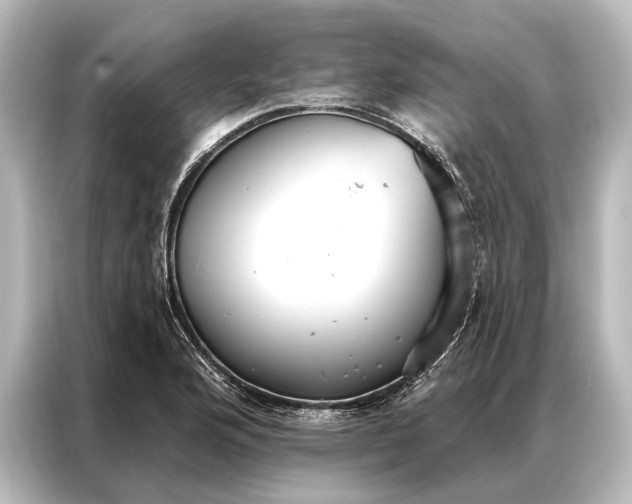 X0000087041176200705021130