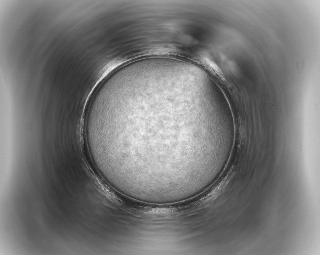X0000087041178200705021130