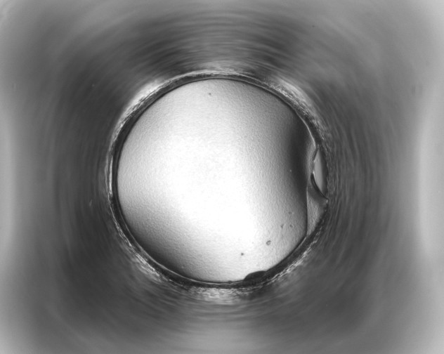 X0000087041180200705021130