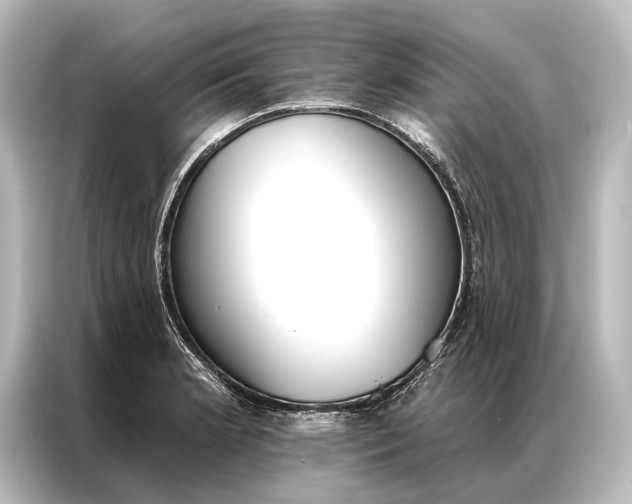 X0000087041181200705021130