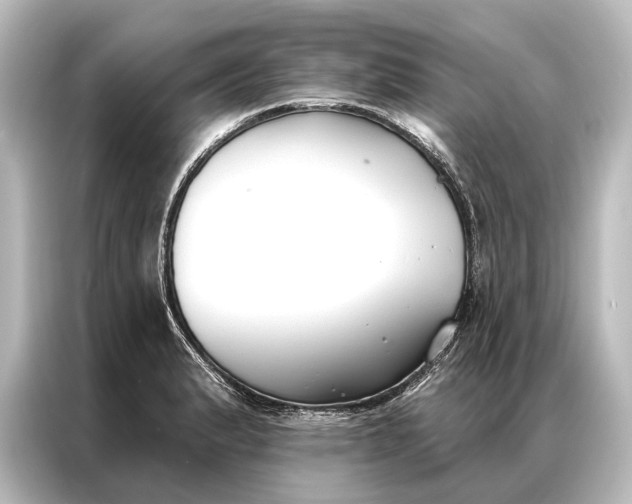 X0000087041183200705021130