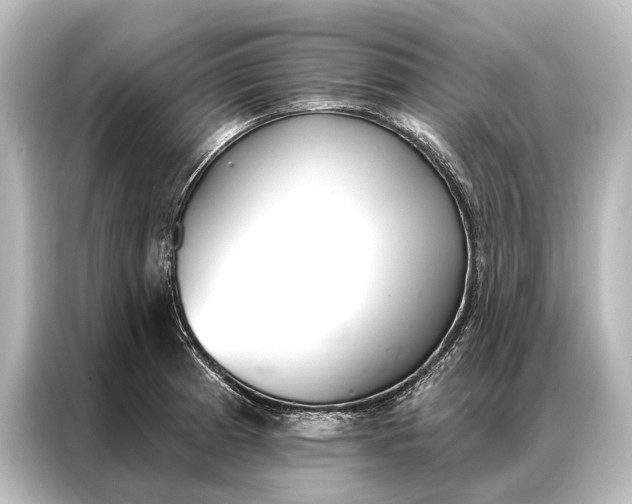 X0000087041185200705021130