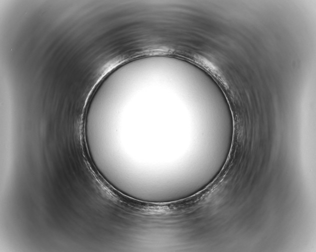 X0000087041186200705021130