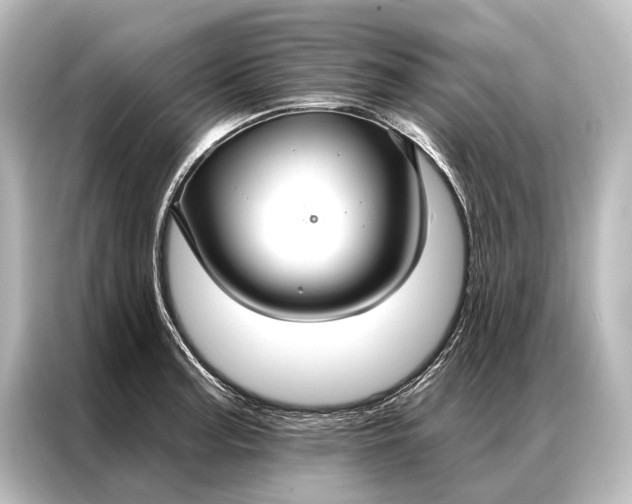 X0000087041187200705021130